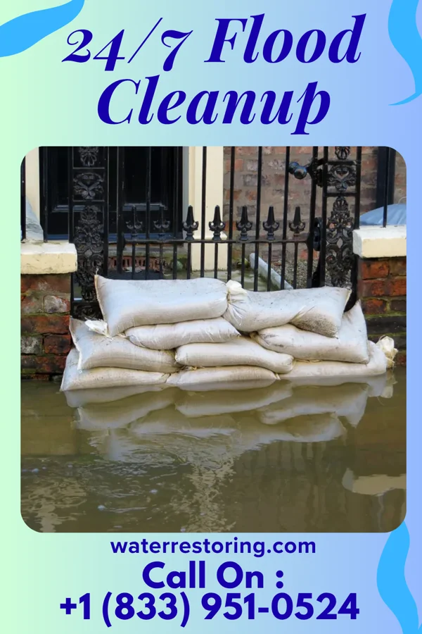 24/7 Flood Cleanup in Sledge, MS