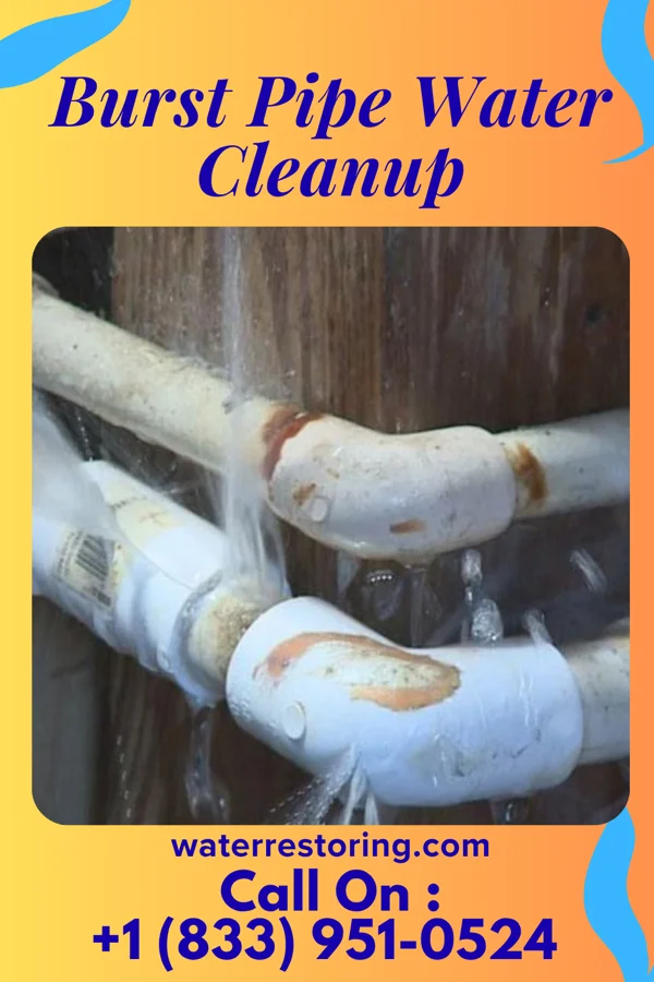 Burst Pipe Water Cleanup in Sledge, MS