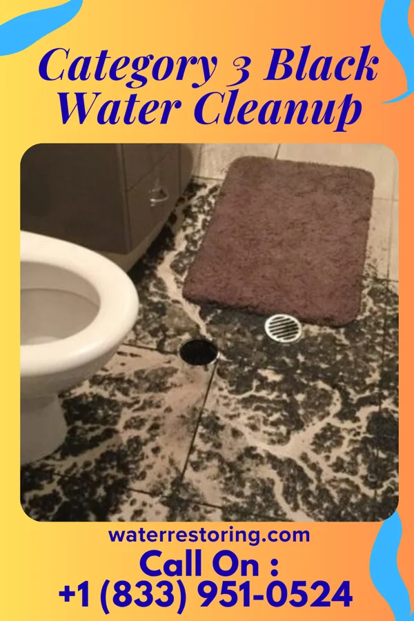 Category 3 Black Water Cleanup in Sledge, MS