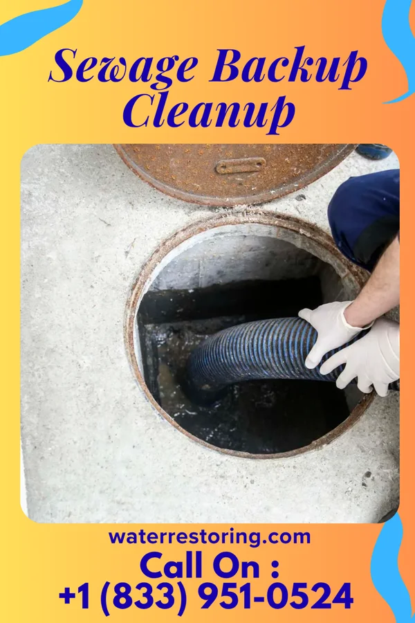 Sewage Backup Cleanup in Sledge, MS