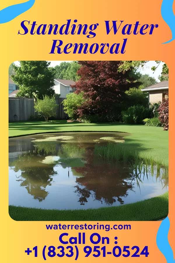 Standing Water Removal in Sledge, MS